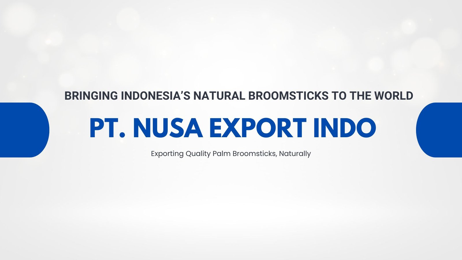 Blue & white company profile presentation (2)