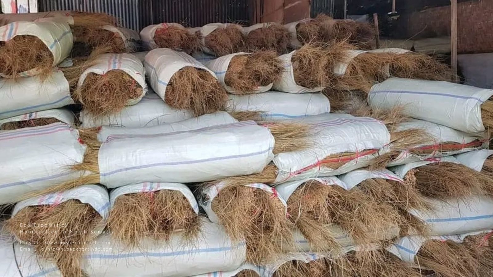 Dark Green and White Modern Minimalist Nature Presentation (2)