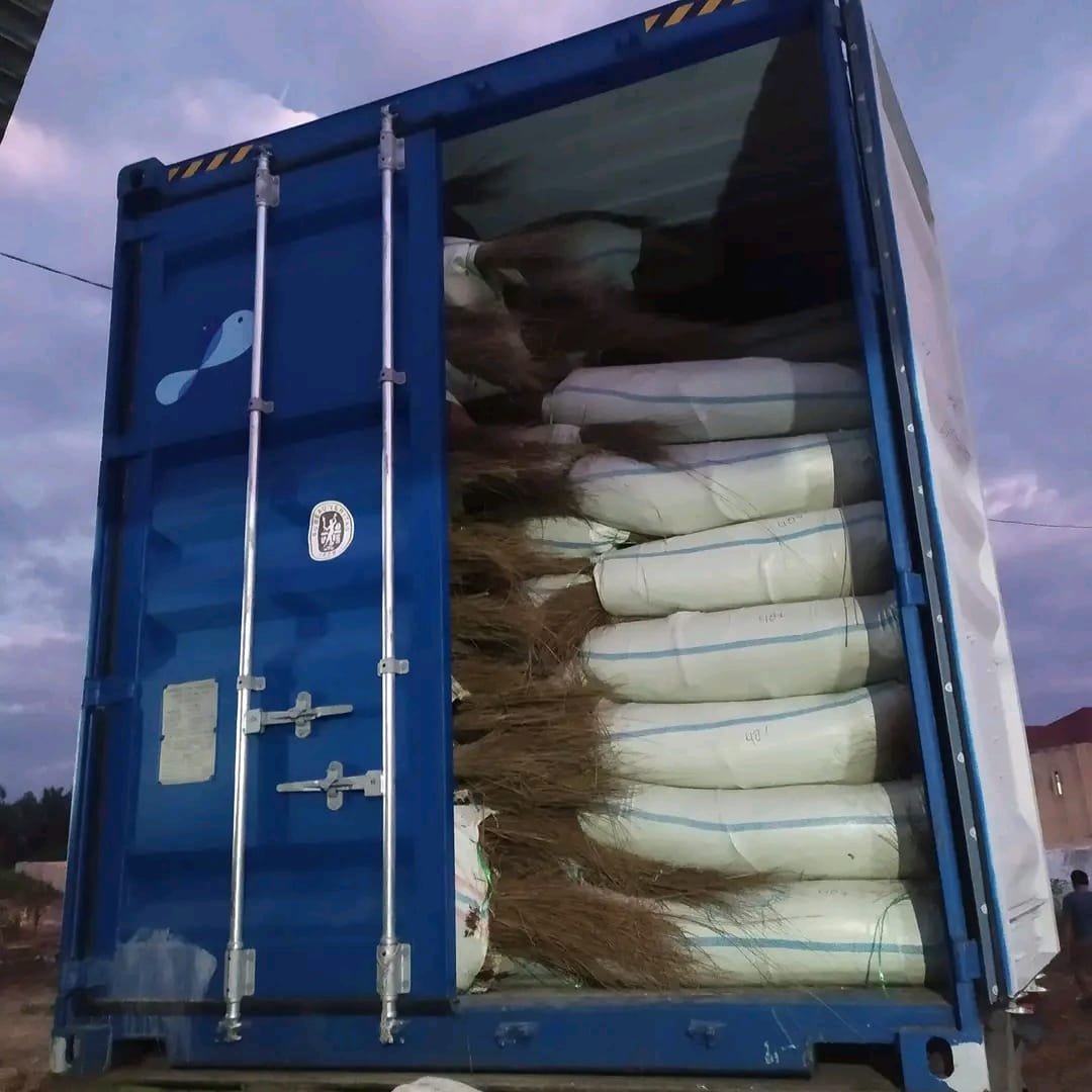 WhatsApp Image 2025-09-19 at 09.45.43 (1)